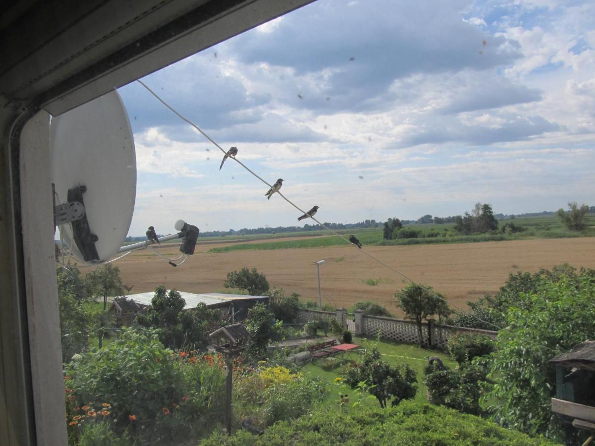 Zum Wiesengrund Im Oderbruch Altglietzen Extérieur photo