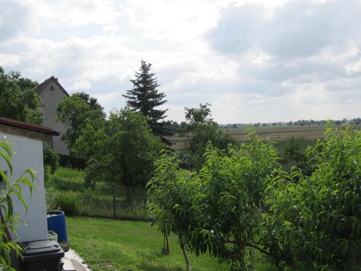 Zum Wiesengrund Im Oderbruch Altglietzen Extérieur photo
