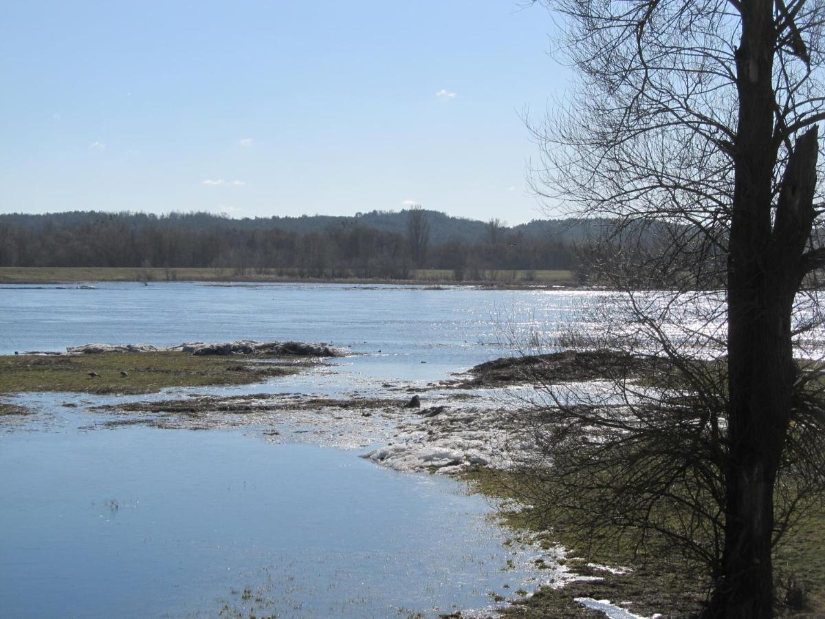 Zum Wiesengrund Im Oderbruch Altglietzen Extérieur photo